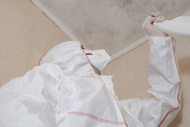 Best Mold Testing  in Dublin, CA